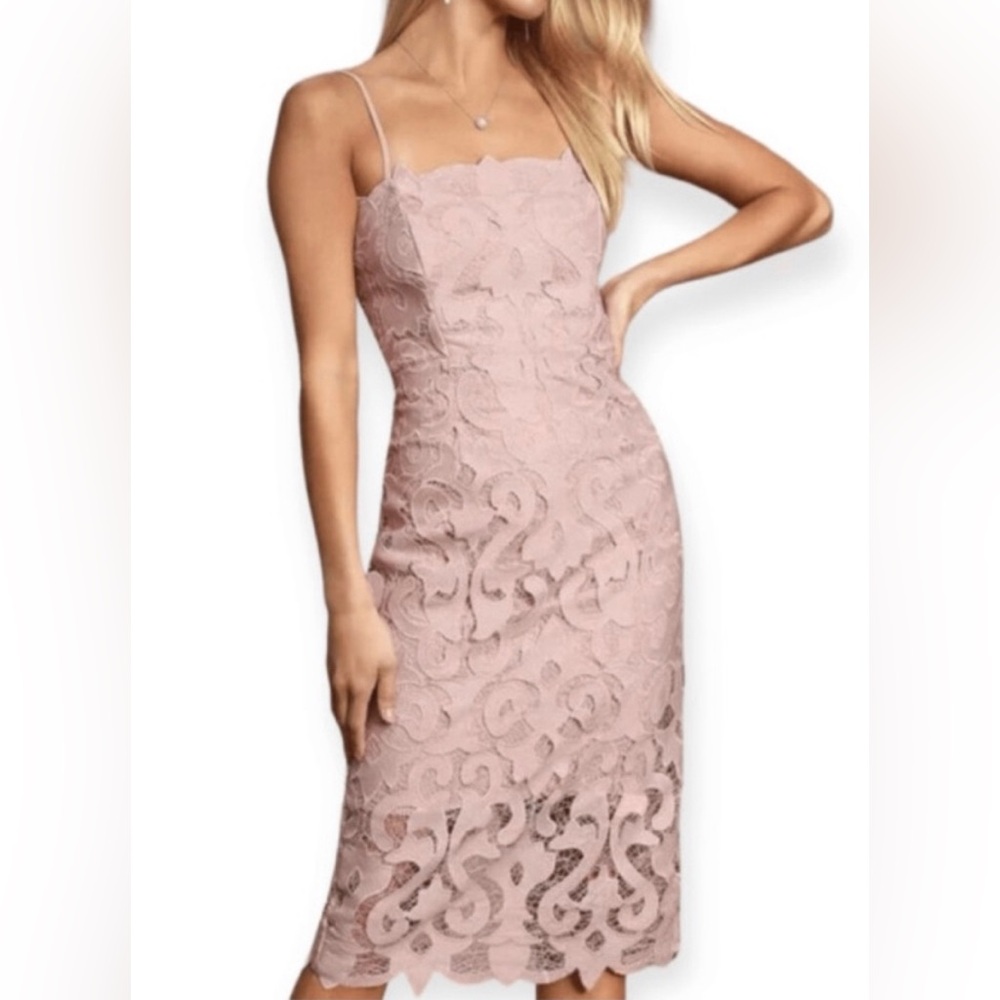 Bardot Lina Blush Lace Midi Dress - Picture 9 of 9